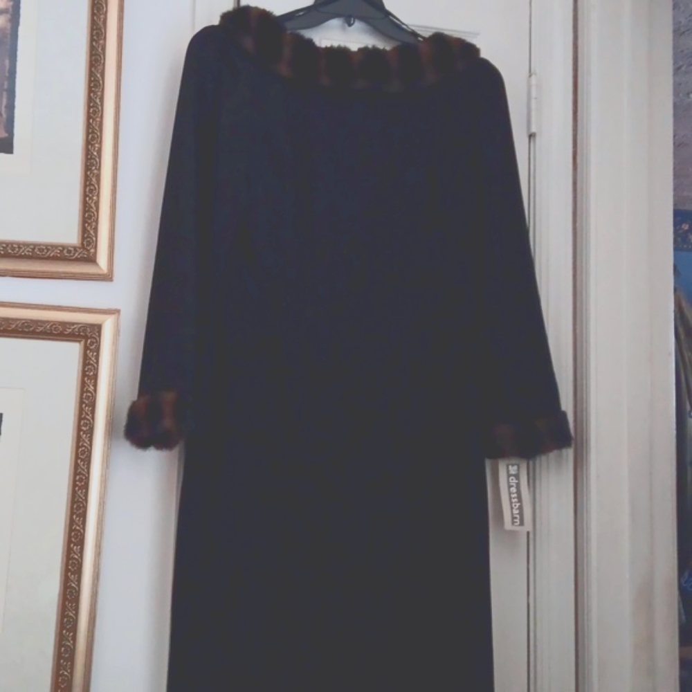Brand neww with tags Blk Dress w/ faux fur collar & sleeves